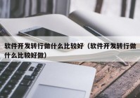 软件开发转行做什么比较好（软件开发转行做什么比较好做）