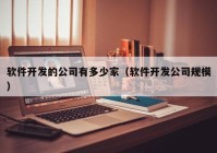 软件开发的公司有多少家（软件开发公司规模）