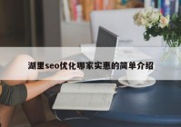 湖里seo优化哪家实惠的简单介绍