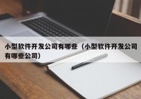 小型软件开发公司有哪些（小型软件开发公司有哪些公司）